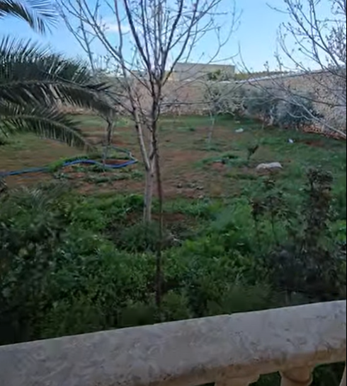 مزرعة للبيع مساحة 700م على طريق دانه - الباب